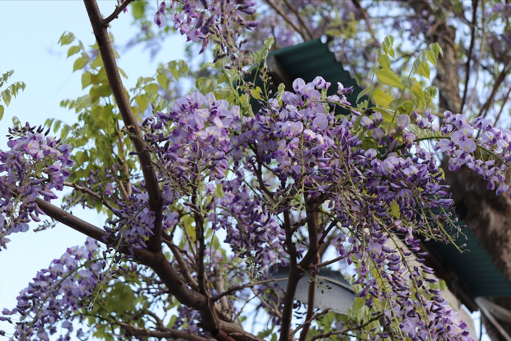 f:id:snow36:20210430141210j:image f:id:snow36:20210430141210j:image