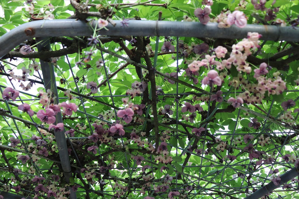 f:id:snow36:20210430141818j:image f:id:snow36:20210430141818j:image