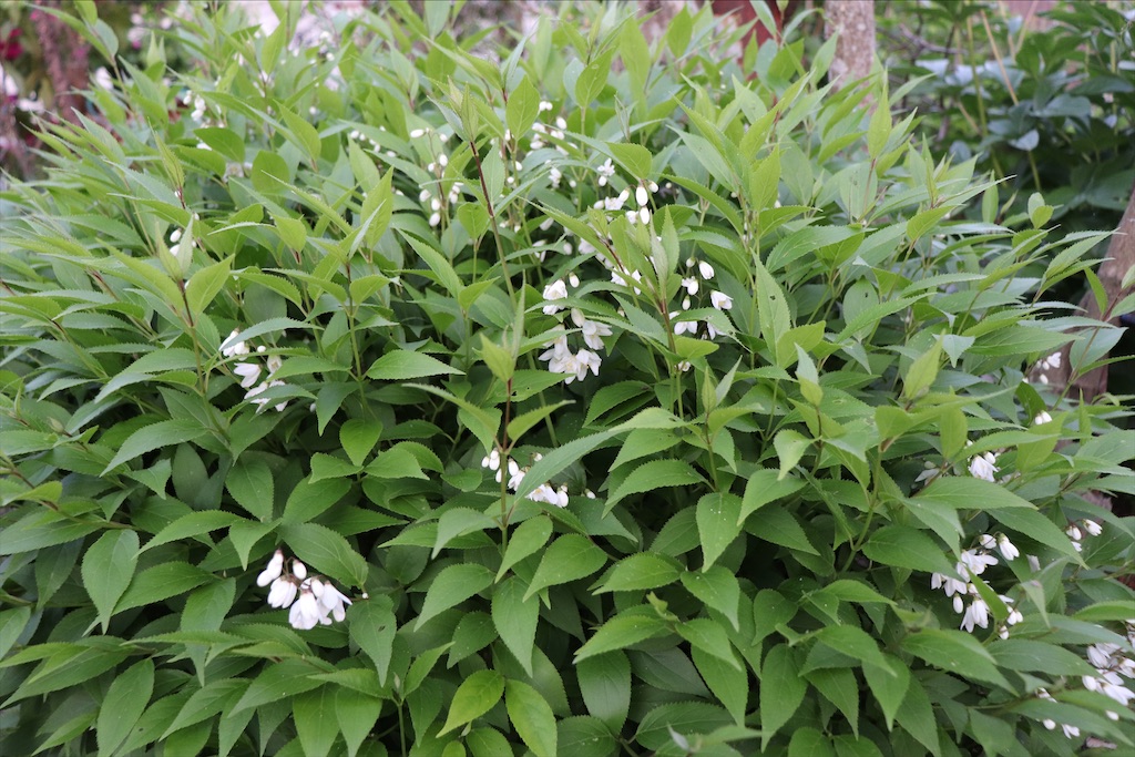 f:id:snow36:20210430142214j:image f:id:snow36:20210430142214j:image