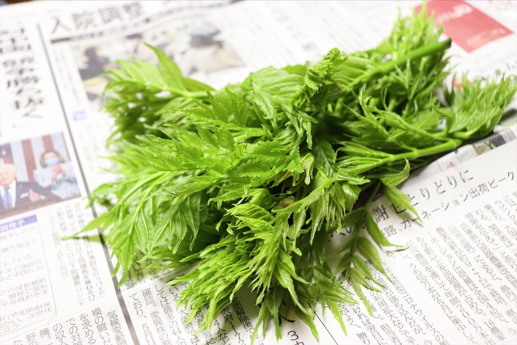 f:id:snow36:20210501145210j:image f:id:snow36:20210501145210j:image