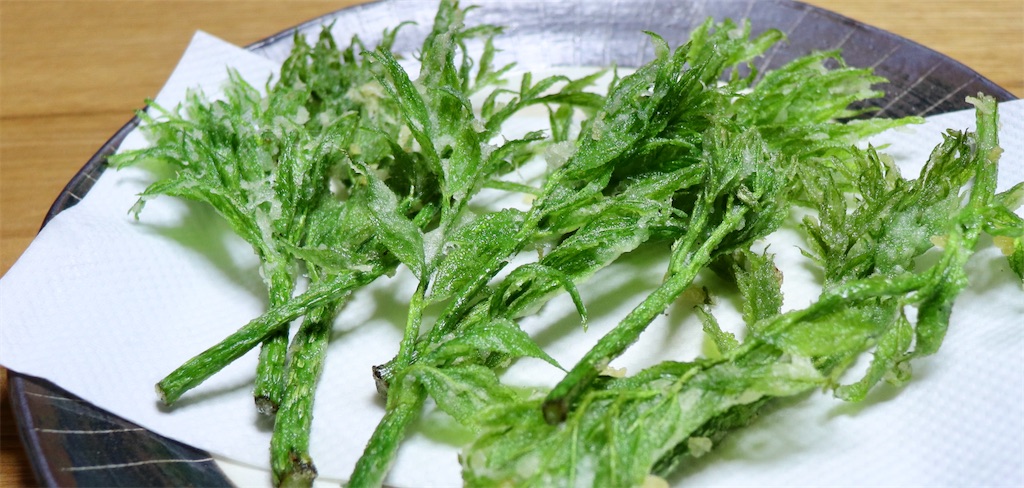 f:id:snow36:20210501145909j:image