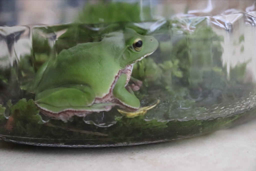 f:id:snow36:20210509173750j:image f:id:snow36:20210509173750j:image