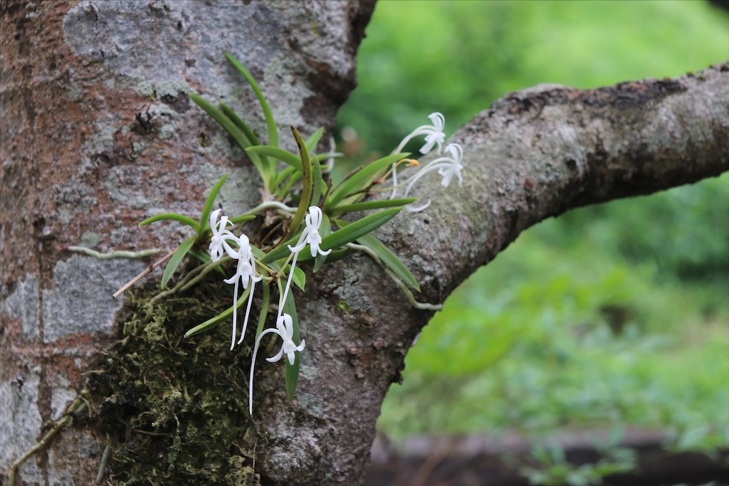 f:id:snow36:20210724192649j:image f:id:snow36:20210724192649j:image