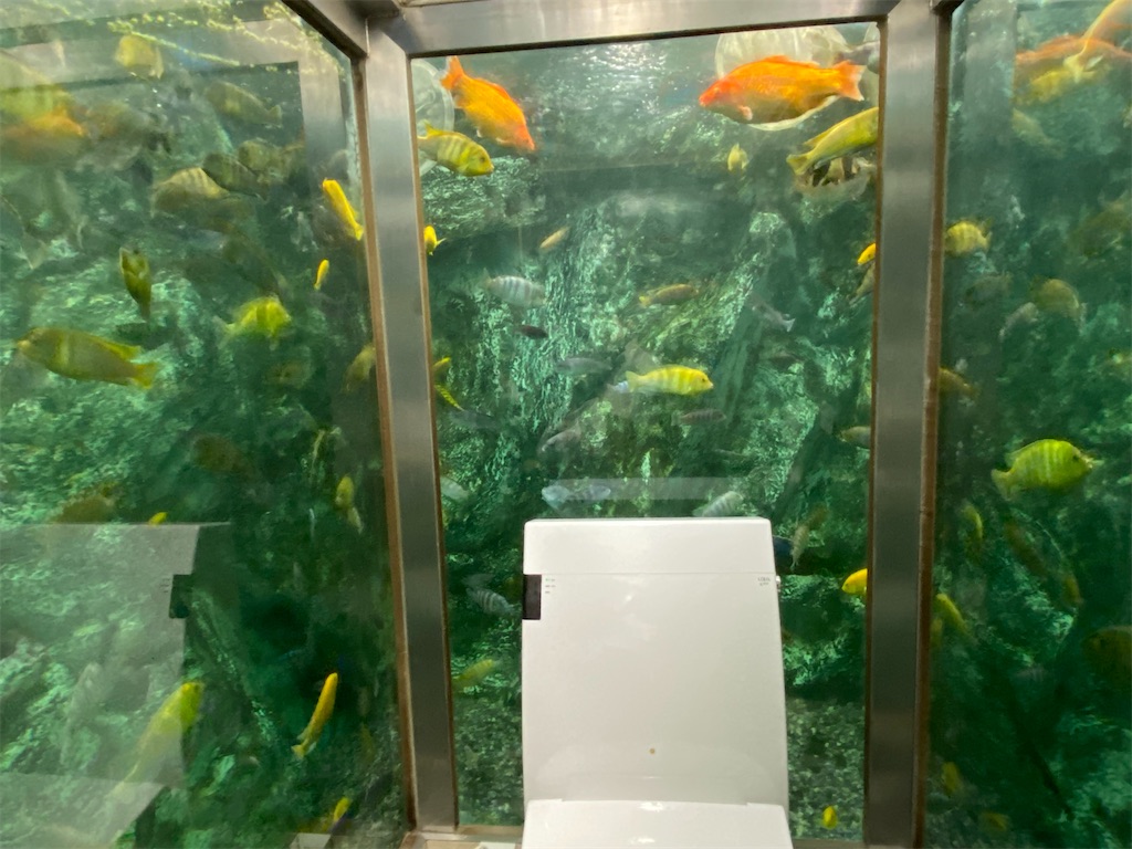 f:id:snow36:20210726145737j:image f:id:snow36:20210726145737j:image