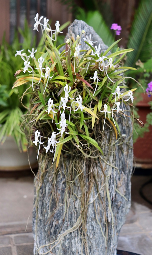 f:id:snow36:20210730181905j:image