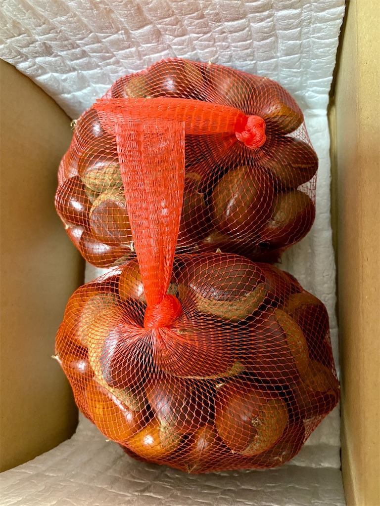 f:id:snow36:20211030200506j:image