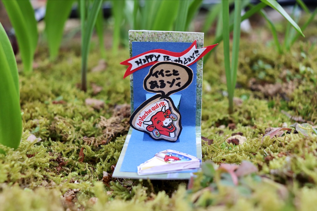 f:id:snow36:20211111135130j:image