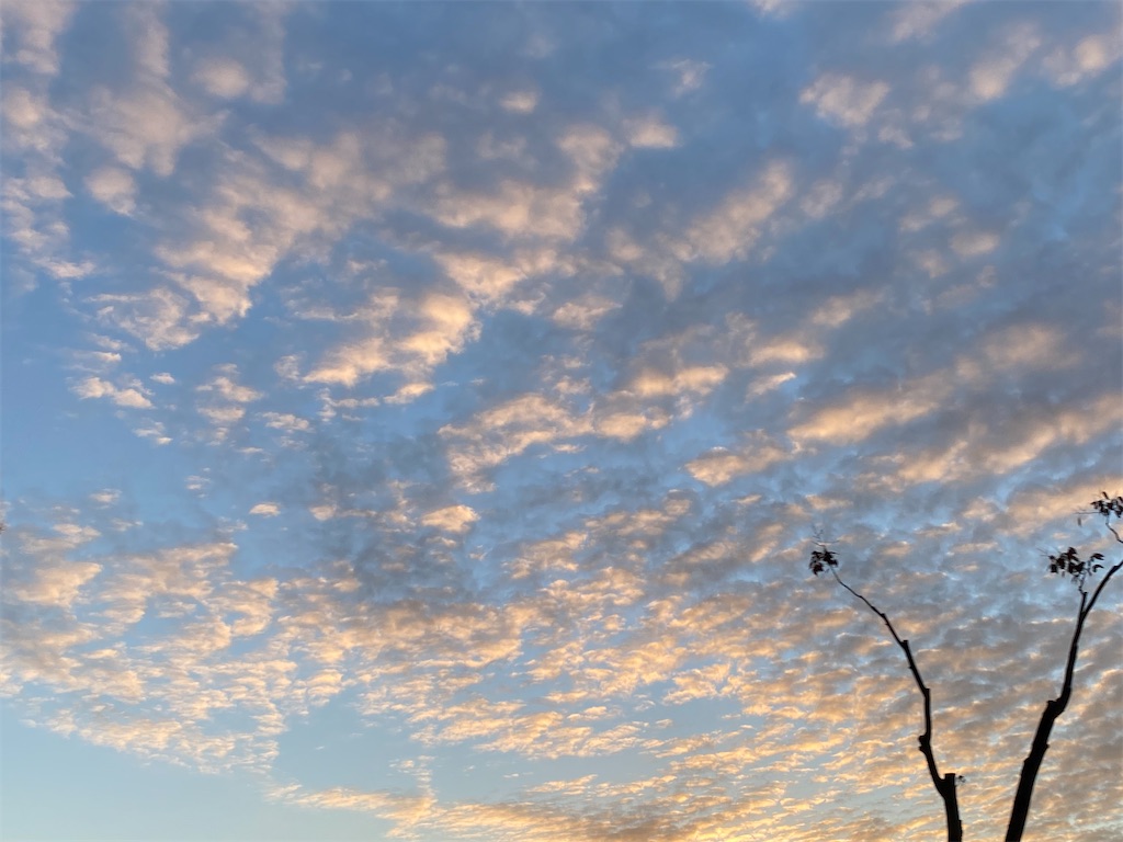 f:id:snow36:20211115121240j:image