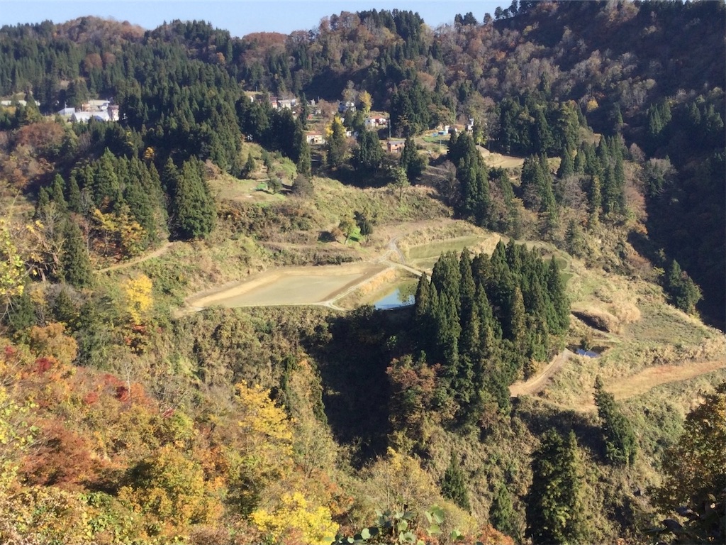 f:id:snow36:20211115235050j:image