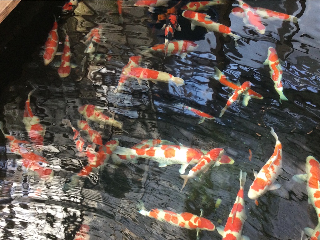 f:id:snow36:20211115235155j:image