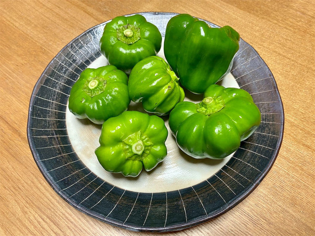 f:id:snow36:20211116003622j:image