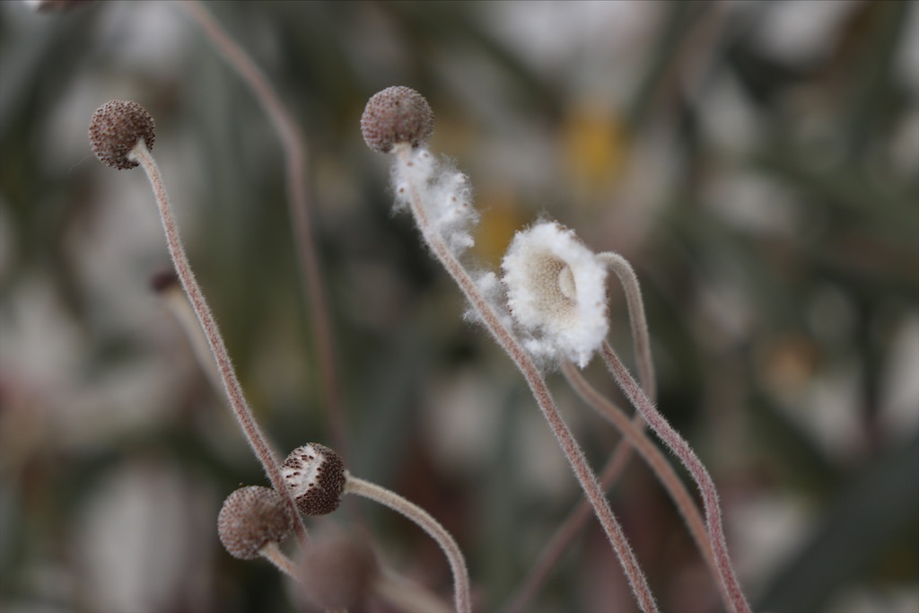 f:id:snow36:20220303164610j:image