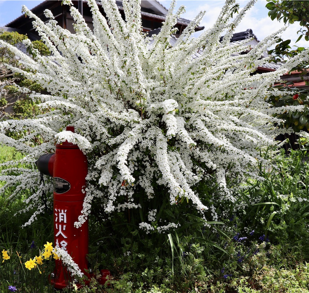 f:id:snow36:20220401233822j:image