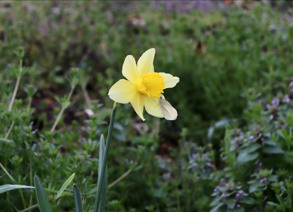 f:id:snow36:20220401234602j:image