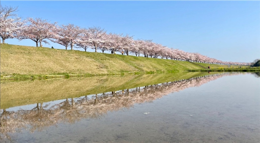 f:id:snow36:20220410123213j:image