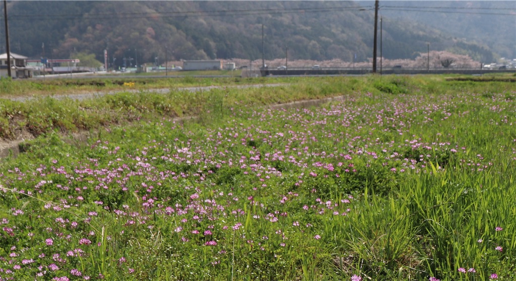 f:id:snow36:20220410185607j:image