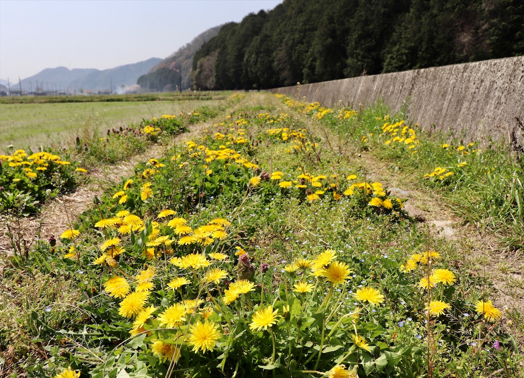 f:id:snow36:20220410185614j:image