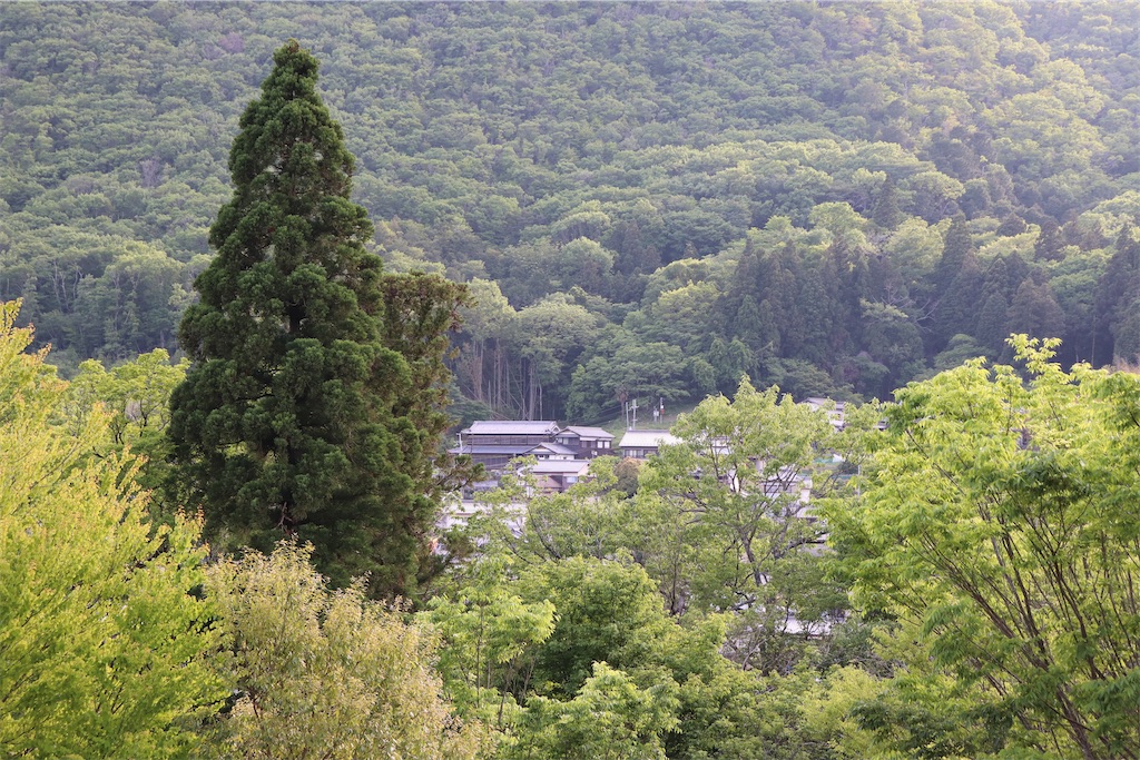 f:id:snow36:20220525173946j:image