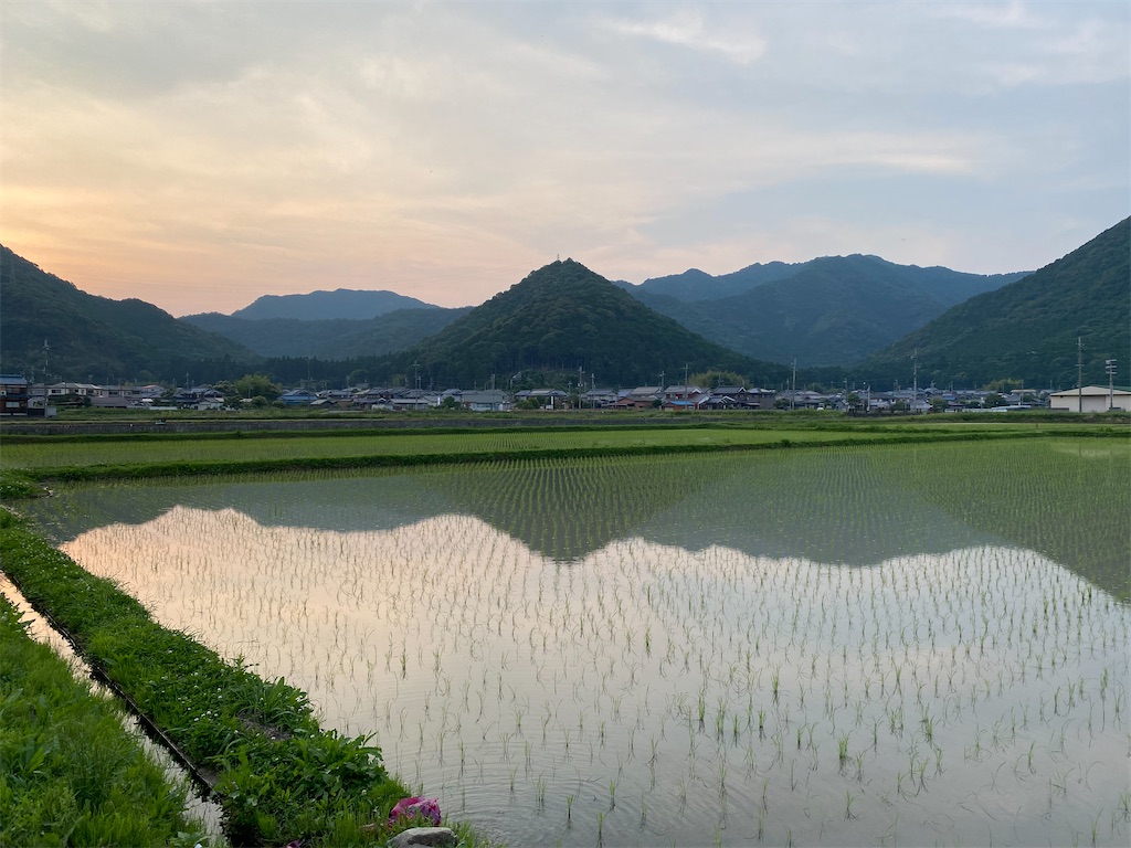 f:id:snow36:20220625120512j:image f:id:snow36:20220625120512j:image