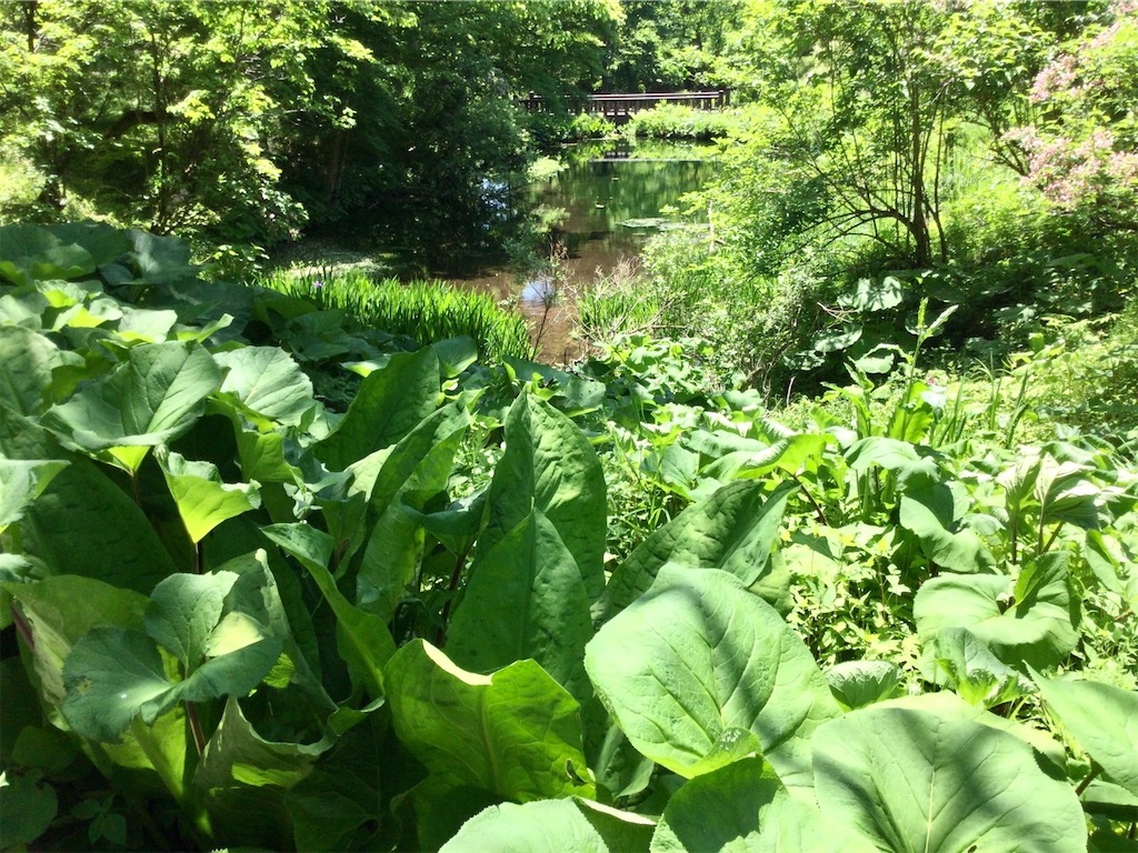 f:id:snow36:20220625123501j:image f:id:snow36:20220625123501j:image