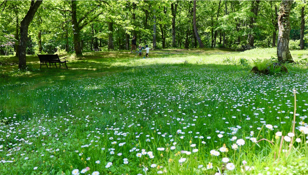 f:id:snow36:20220625123904j:image f:id:snow36:20220625123904j:image