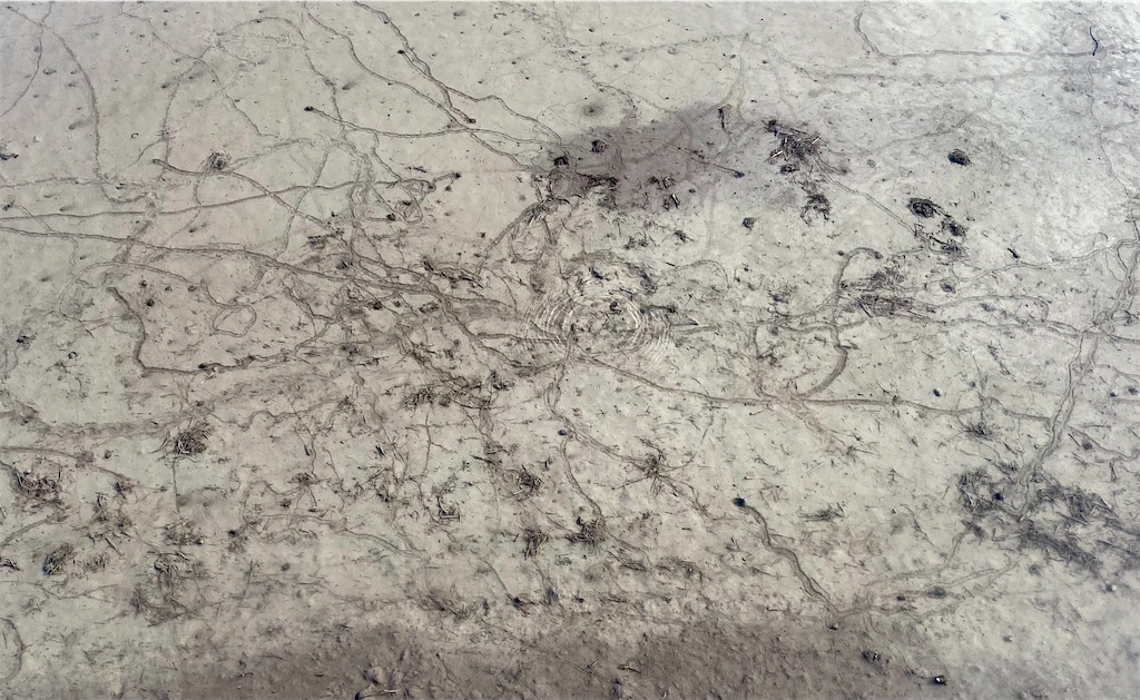 f:id:snow36:20220625211459j:image