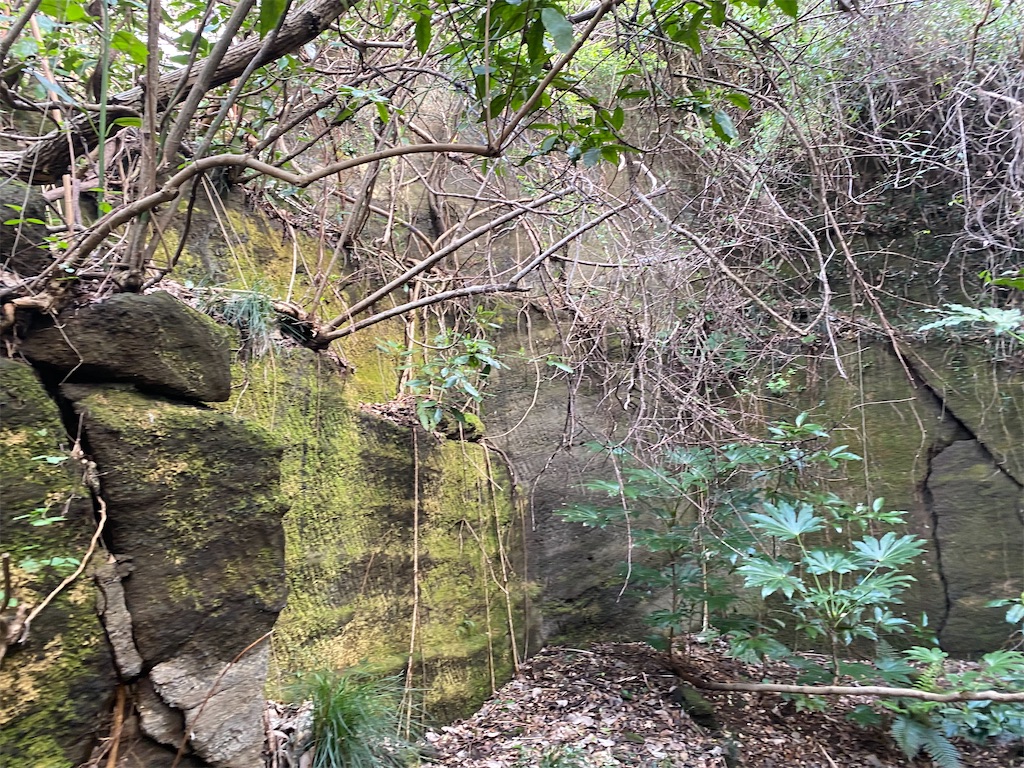 f:id:snow_in_the_moon:20220501014003j:image f:id:snow_in_the_moon:20220501014003j:image