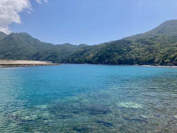 東港