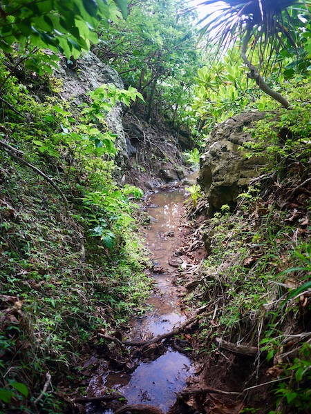 水浸しの遊歩道
