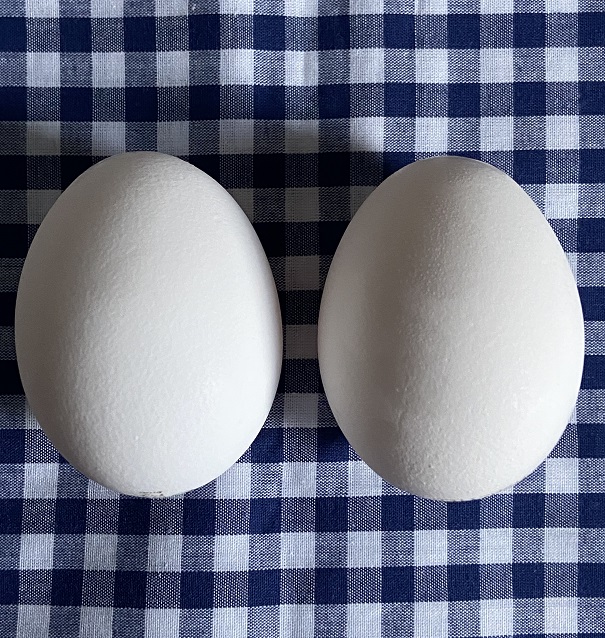 f:id:snowcrystal2000:20210912082948j:plain