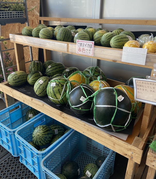 一玉100円のスイカ🍉～JAいしかり 地物市場 とれのさと - 北海道のだい