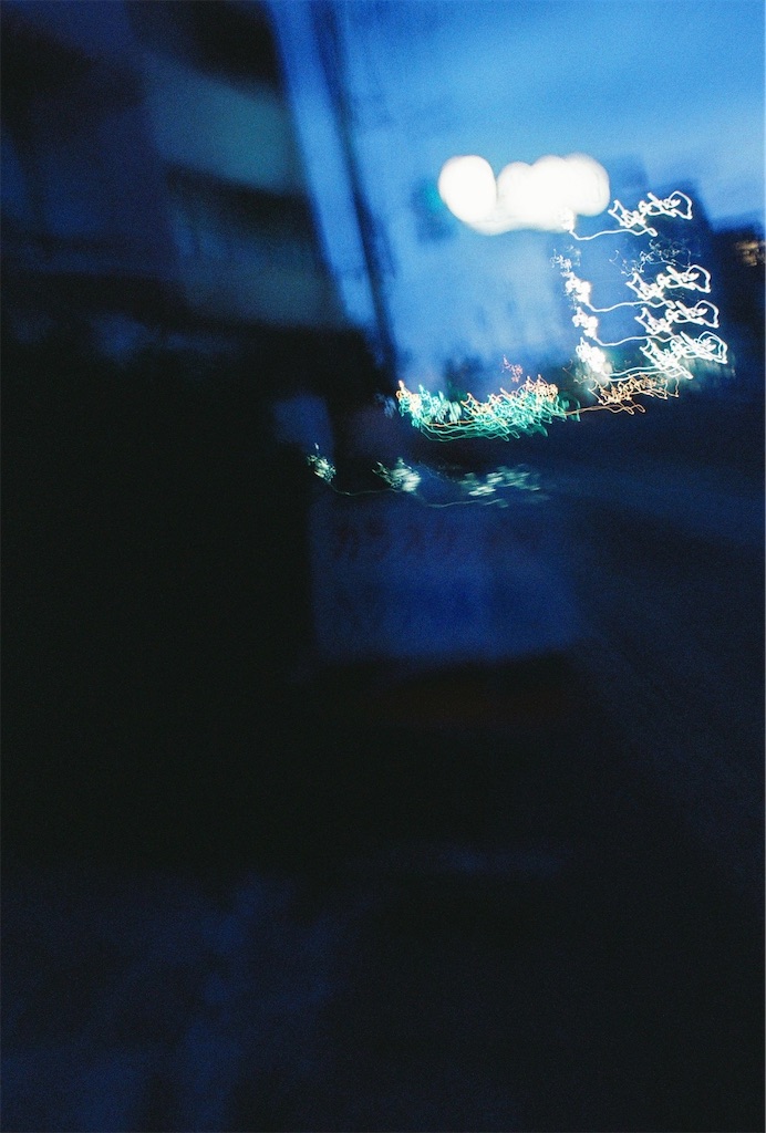 f:id:snowdrop_01:20250617064205j:image