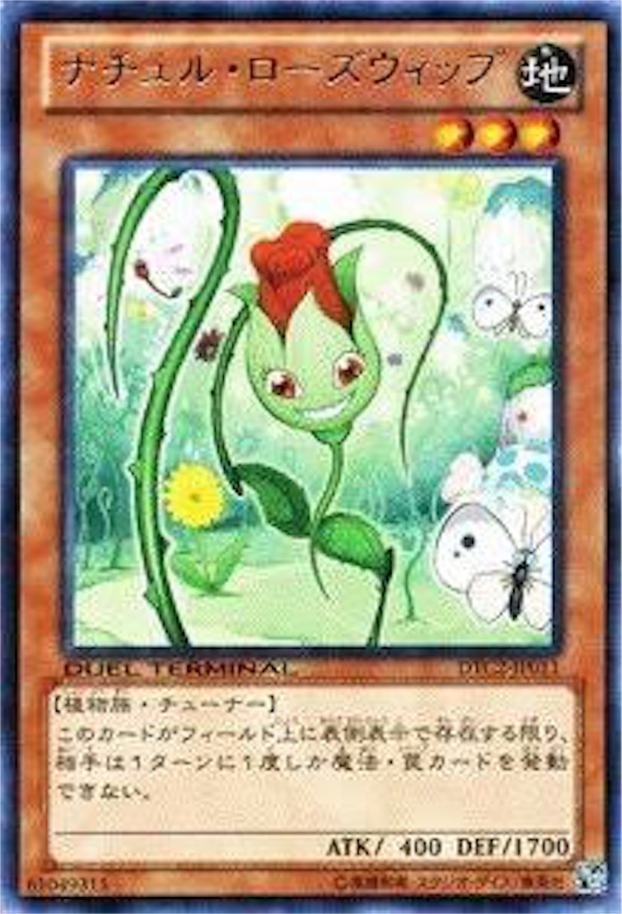 f:id:snowdropsasaki:20161221211753j:image f:id:snowdropsasaki:20161221211753j:image