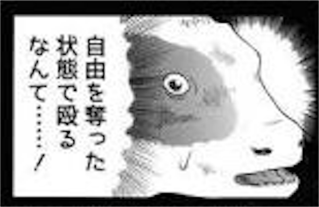 f:id:snowdropsasaki:20190715192702j:image
