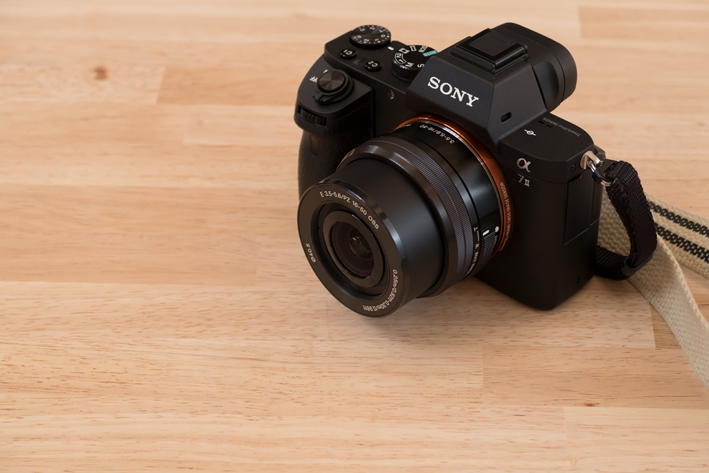 SONY standard zoom lens test - with α7II - snowfallのメモ帳