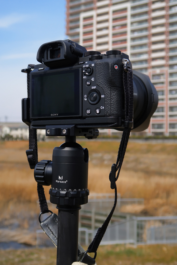 sony 24-105 G Eマウント SEL2470GM vs SEL24105G - SONY sony 24-105 G Eマウント SEL2470GM vs SEL24105G - SONY