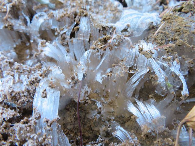 f:id:snowflakes_birth_htn:20201207082042p:plain