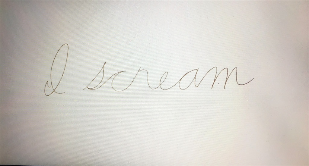 f:id:snowfluffy:20200428172108j:image