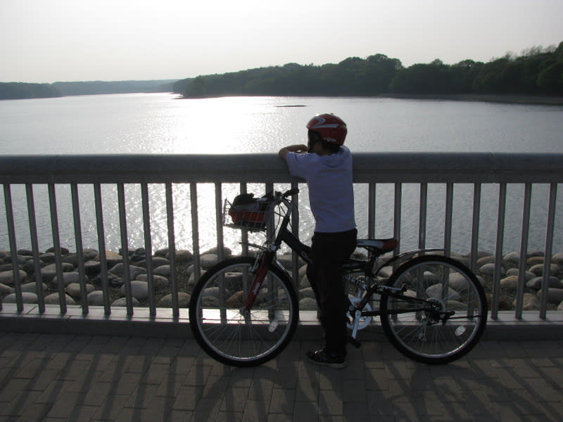 Img_0317_2 Img_0317_2