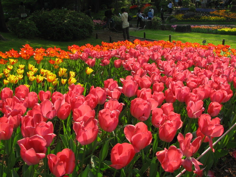 Img_0349_2 Img_0349_2