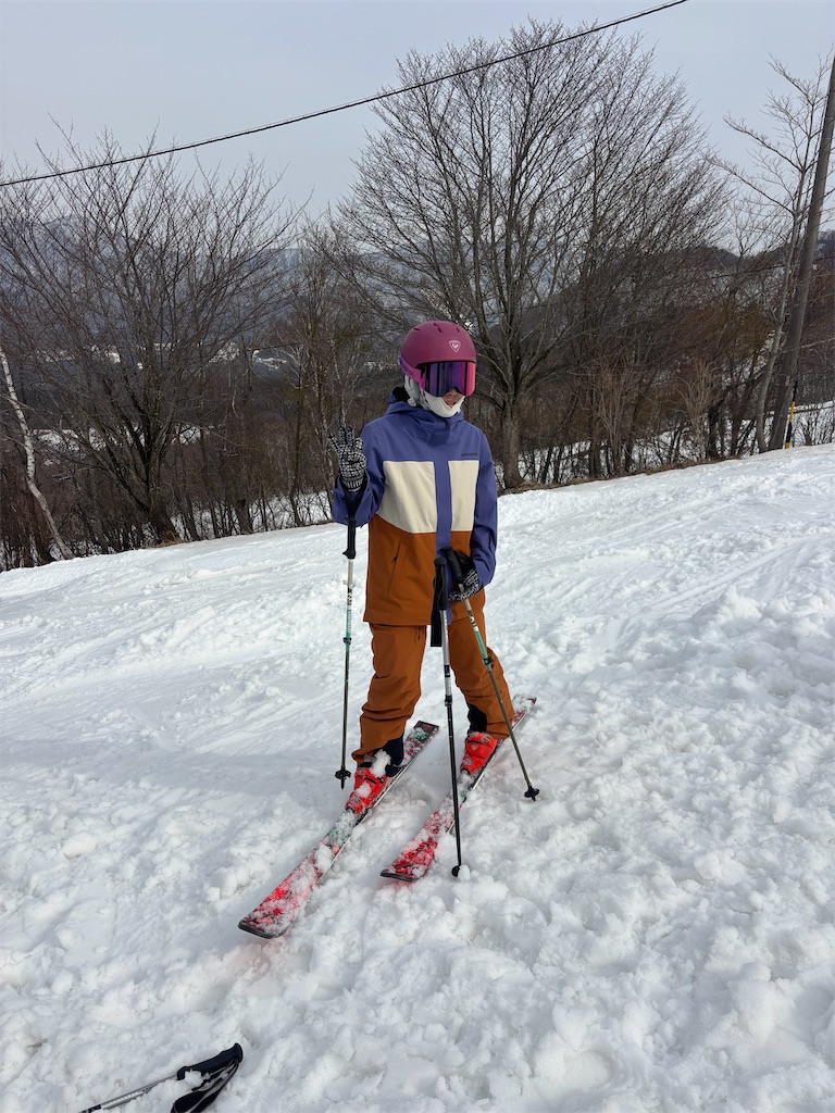 f:id:snowlimit_55:20260322222947j:image