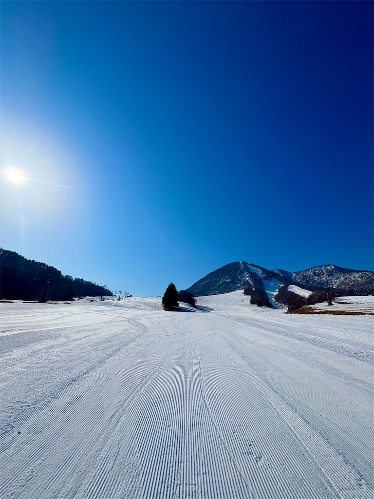 f:id:snowlimit_55:20260322222954j:image