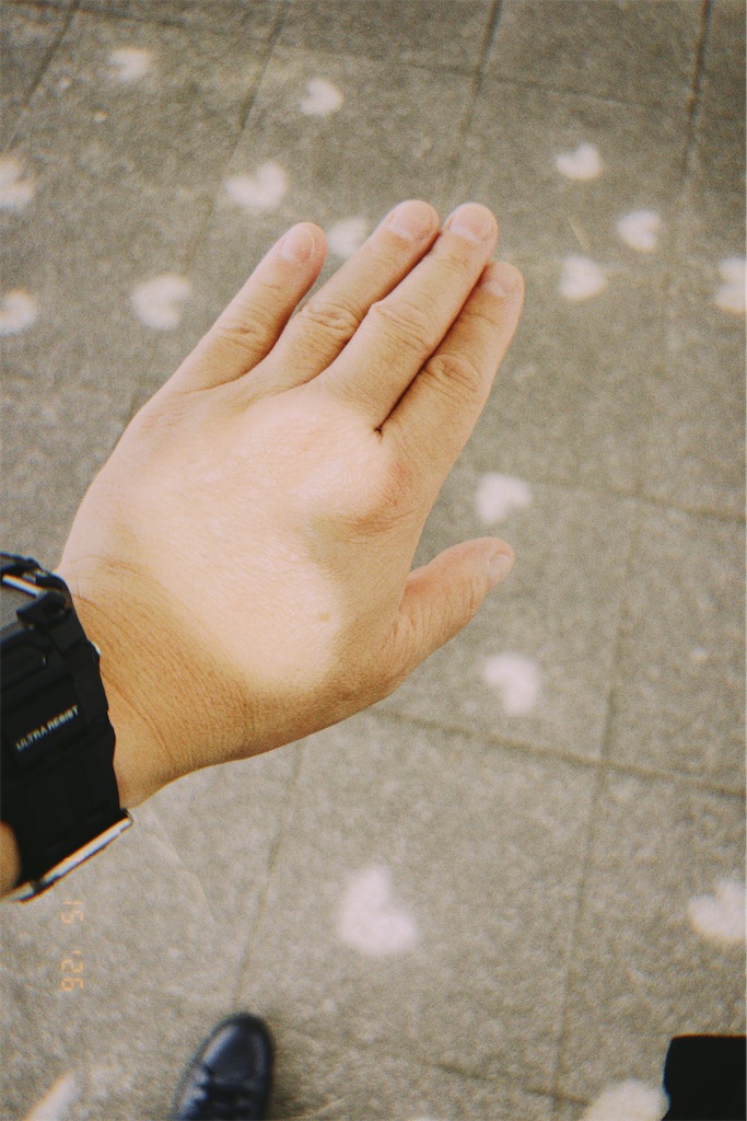 f:id:snowlimit_55:20260726190209j:image