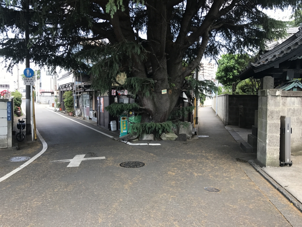 f:id:snowlong:20170527130931j:plain f:id:snowlong:20170527130931j:plain