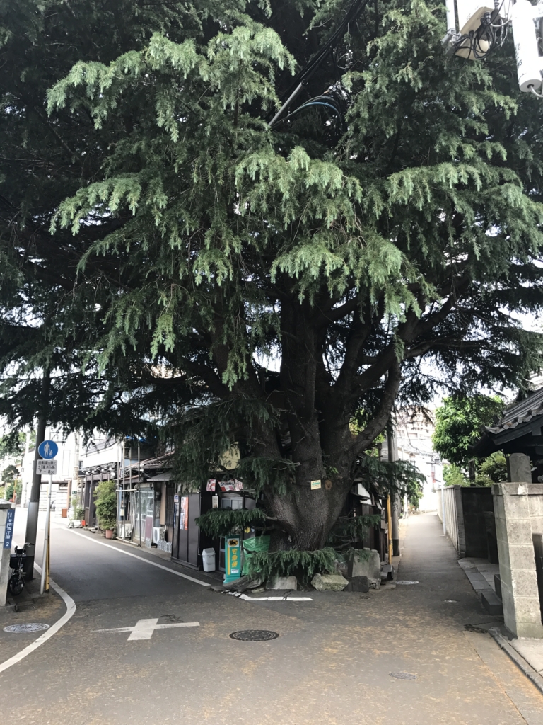 f:id:snowlong:20170527130945j:plain f:id:snowlong:20170527130945j:plain