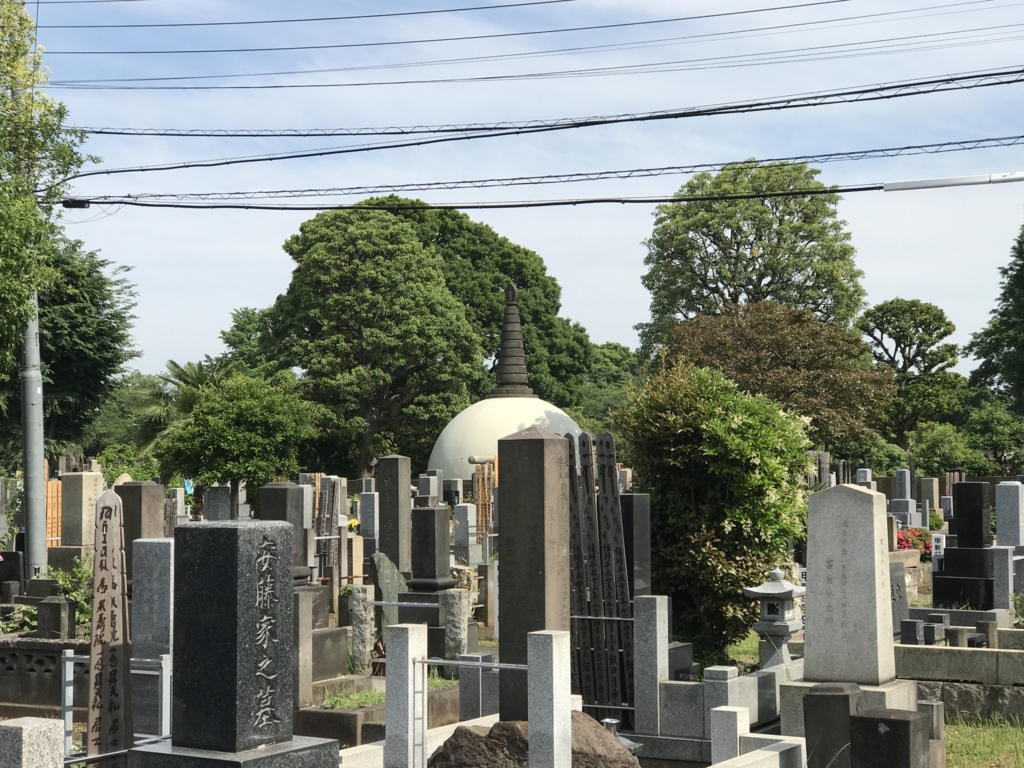 f:id:snowlong:20170527142830j:plain f:id:snowlong:20170527142830j:plain