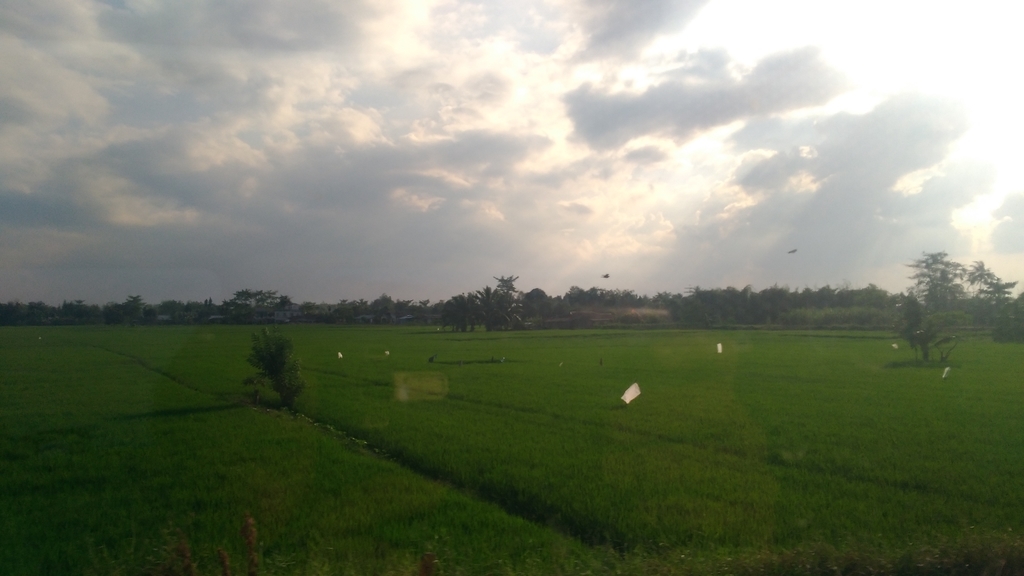 f:id:snowm-blog:20190111232003j:plain f:id:snowm-blog:20190111232003j:plain