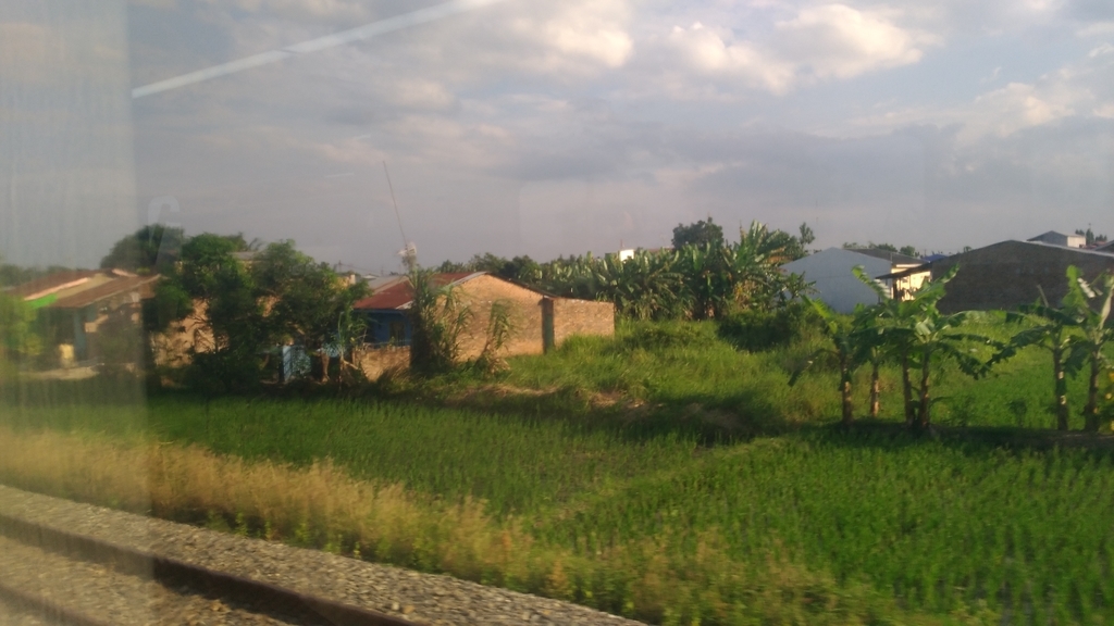 f:id:snowm-blog:20190111232017j:plain f:id:snowm-blog:20190111232017j:plain