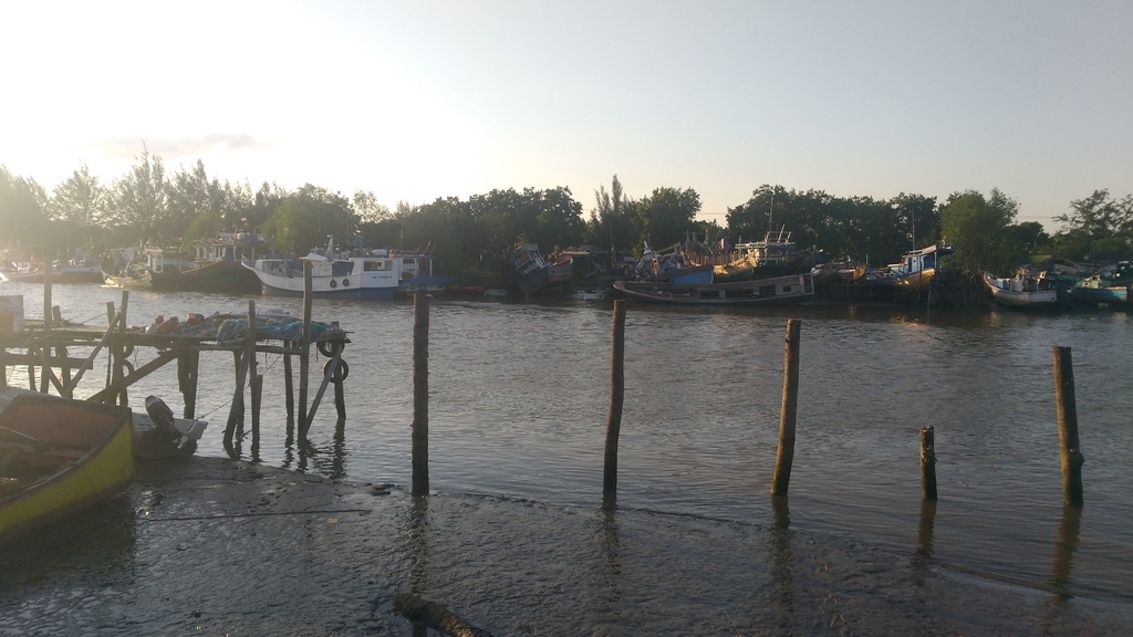 f:id:snowm-blog:20190119170140j:plain f:id:snowm-blog:20190119170140j:plain