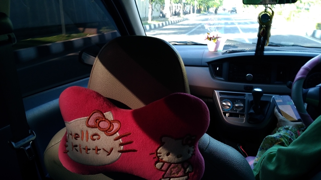 f:id:snowm-blog:20190122003606j:plain f:id:snowm-blog:20190122003606j:plain